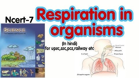 Respiration in organisms || Ncert class-7 chap.10 || Upsc,state pcs,ssc etc