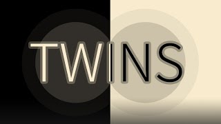 Twins the Game for Windows screenshot 2