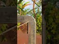 A 90-degree angle that curves. #tricks #idea #welding
