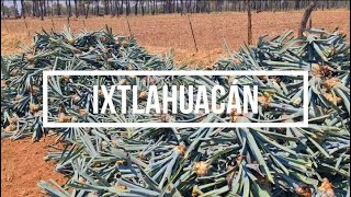 Predio Ixtlahuacán - Plantación JIMA 2021