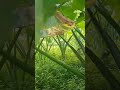 #ytshorts #short