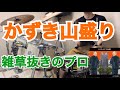 雑草抜きのプロ / かずき山盛り ドラム叩いてみた(Drum Cover)