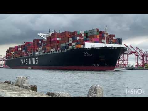 陽明海運 峯明輪 Yang Ming Mega Container Vessel, YM WORLD leave KAOHSIUNG(368 Meters, 14080 TUE)
