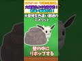 【ポケモンSV】 大量発生より効率的！ 最強色違い厳選方法【ポケモンSV色違い】