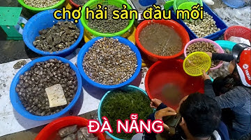 chợ đầu mối hải sản THỌ QUANG.lúc 12h trưa