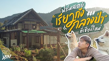 นึกว่าญี่ปุ่น เรียวกังกลางป่า Mori Natural Farm | อาสาพาไปหลง