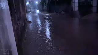 Rain with Heavy Thunder at Night, Quiet Village Road - Thunderstorm Rain Sounds for Sleep Relax ASMR