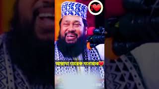 গাউসুল আজম বলা যাবে না | tareq manawar waz allama tarek shorts তারেক_মনোয়ার_ওয়াজ