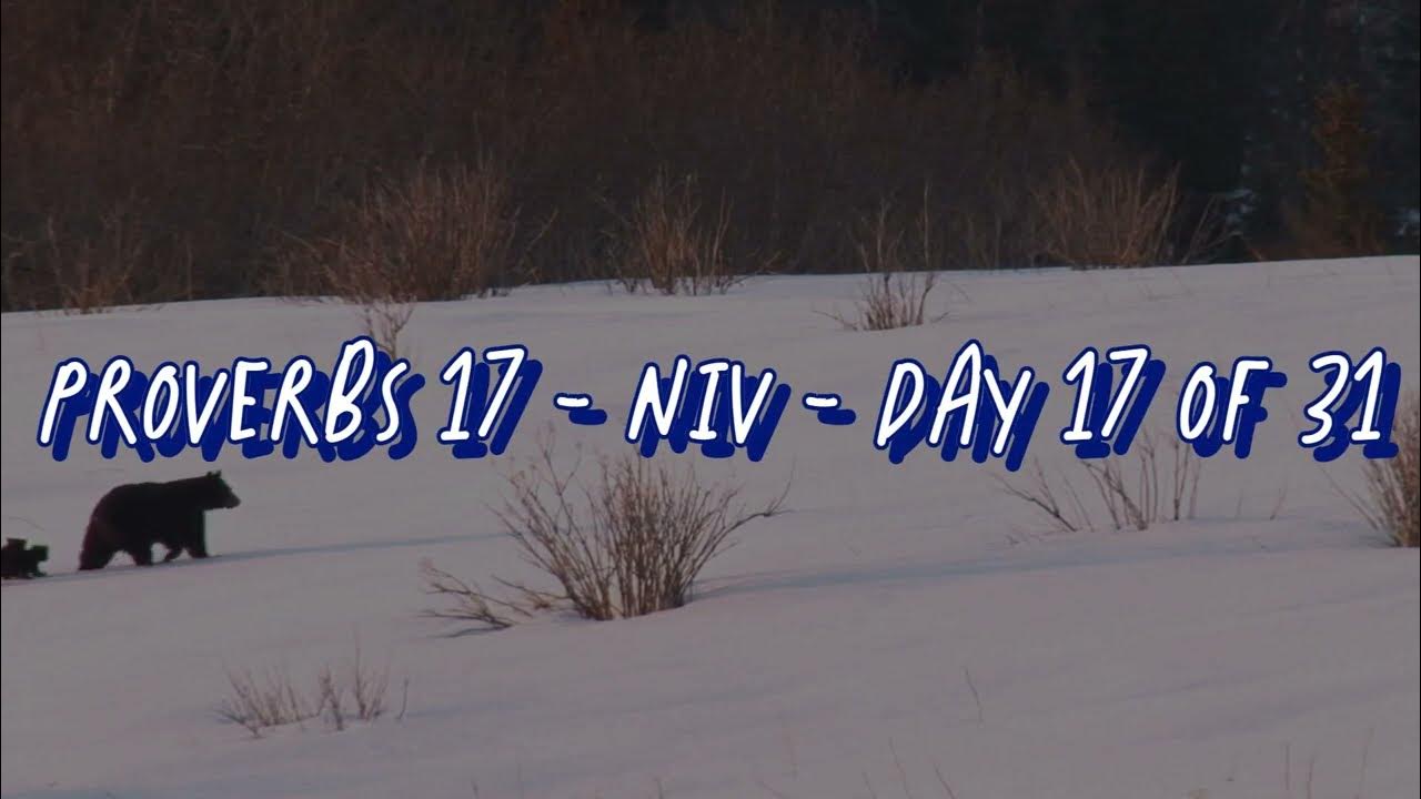 PROVERBS 17 NIV DAY 17 Of 31 YouTube proverbs-17-niv-day-17-of-31-youtube