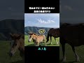 島根の絶景TOP10