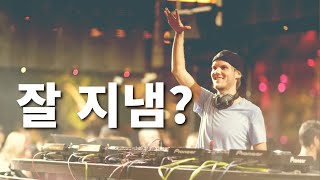 우리의 친구, EDM 황제ㅣAvicii(아비치) 이야기