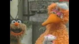 Genérico Rua Sésamo - RTP