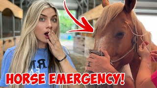We Have A HORSE EMERGENCY!