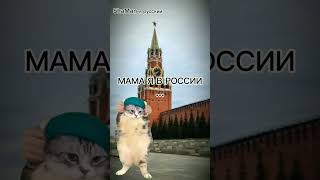 не в обиду другим странам #смешно #жиза #2024 #funnyvideo #subscribe #коты #тренд #школа #happy