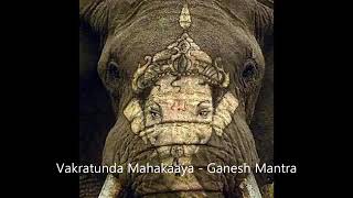 Vakratunda mahakaya surya koti samprabhh screenshot 4