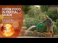 Fruit and veg that don't need full sun to grow well | Growing fruit and vegies | Gardening Australia