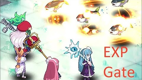 Disgaea RPG Tips by a JP Player #3 EXP Gate