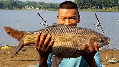 🎣Câu Lăng Xê | Cận Cảnh Cá Trôi Kéo Cần Lăng Xê | Test Mồi Hoàng Minh Fishing | Phần 4