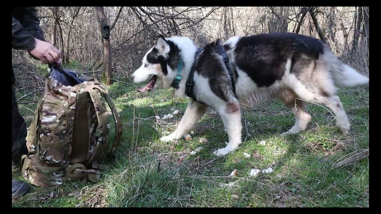 Просто една разходка...И много птички за компания.