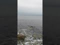 Рица, г. Находка 6 сент 2025 г  #приморскийкрай #японскоеморе