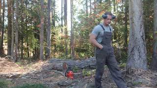 ASMR Calm Relaxing Wood Splitting Firewood with Axe (Helko and Echo)