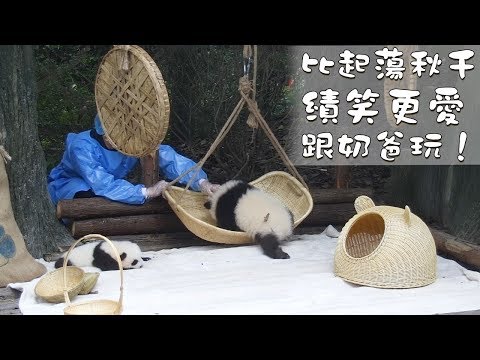 《熊貓早晚安》比起蕩秋千，績笑更愛跟奶爸玩！ | iPanda熊貓頻道