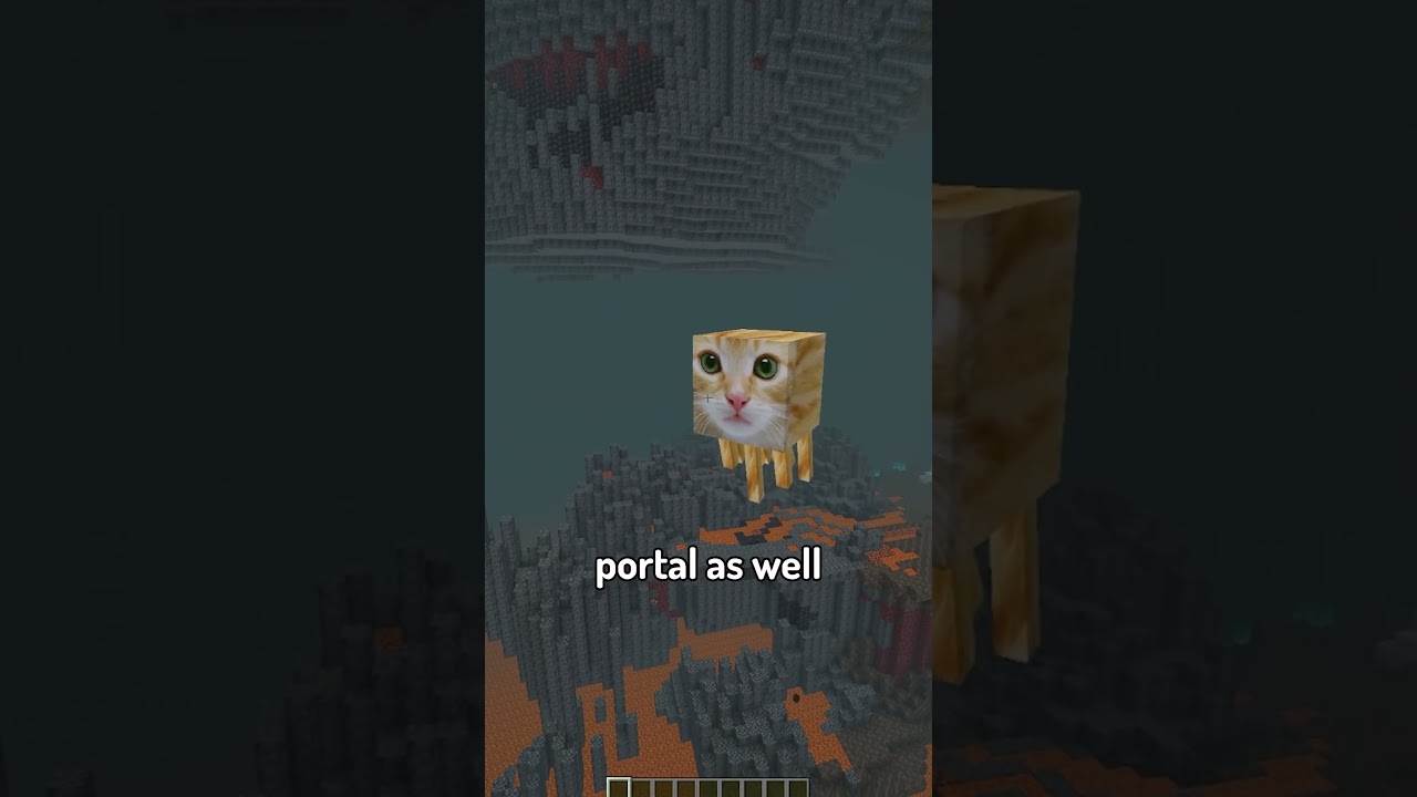 The 2 Portals Problem (advanced maths)