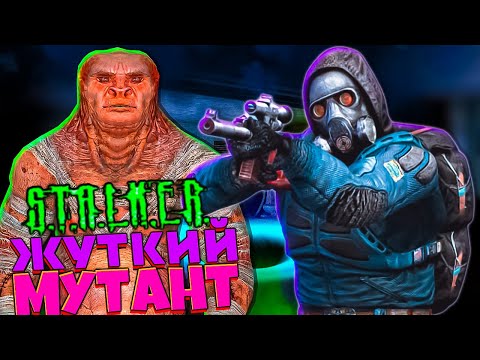 Видео: Самый Жуткий Мутант Настоящий Сталкер ☠️ True Stalker #11