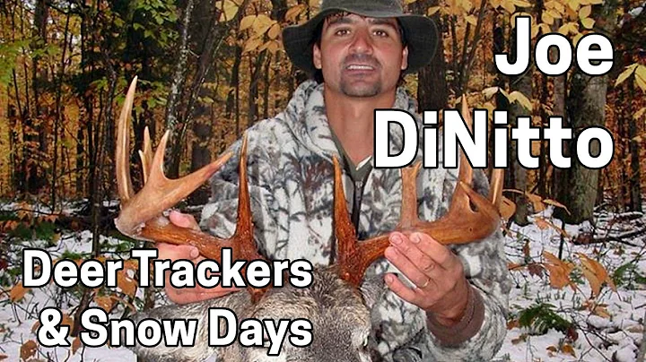 208 JOE DINITTO - Adirondack Deer Trackers and Sno...