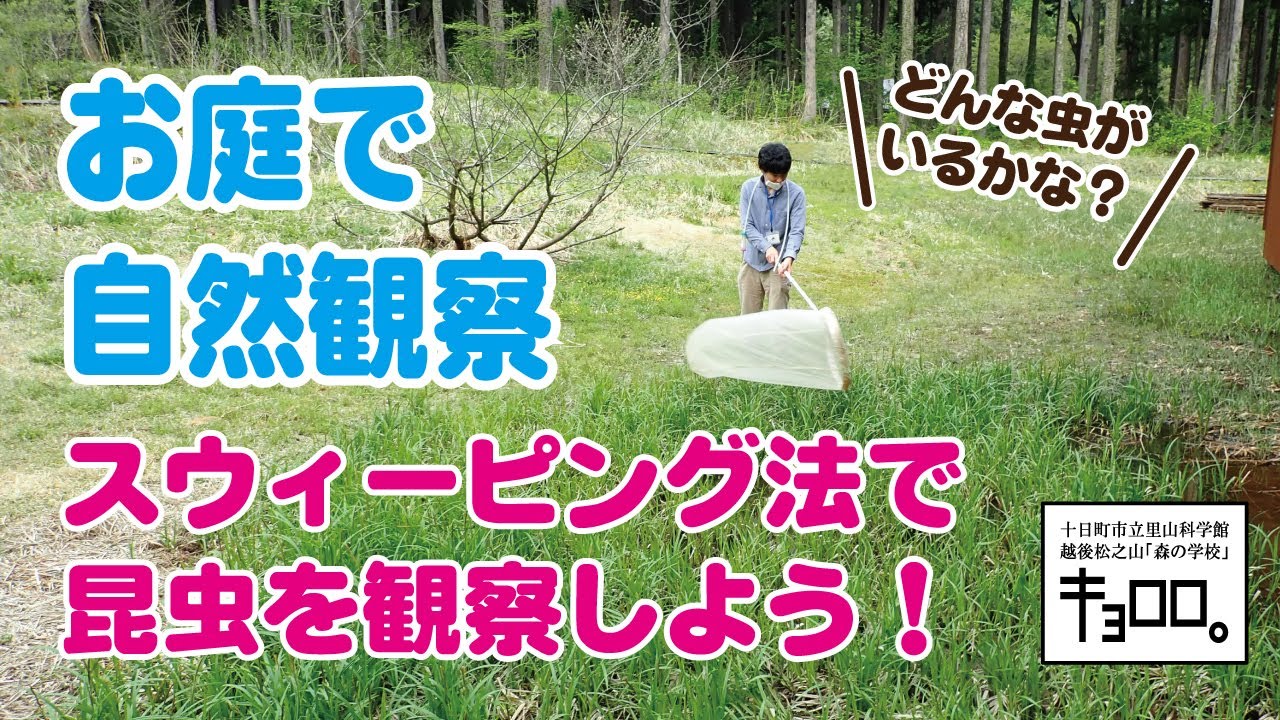お庭でもできる自然観察 －スウィーピング法で昆虫を観察しよう！－　（十日町市立里山科学館「森の学校」キョロロ）