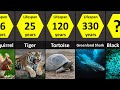 How long animals live lifespans of animals lowest to highest
