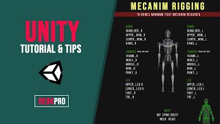 Blender 2.82 - Unity 2019 | Rigging Mecanim Wealth