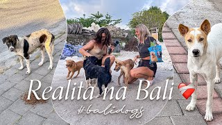 BALI VLOG #5 ~ Pomáháme pejskům na ulici! (Aneb to, co Vám influenceři o Bali NEŘEKNOU!)