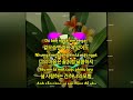 wonnai-music. 2025  Âm nhạc.베트남 노래.자막있음.Tình Yêu Mùi Sầu Riêng _두리안 향기 같은 사랑