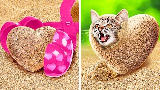 それは砂の中の子猫ですか？| これまでで最も便利なツールであなたのペットの世話をします！