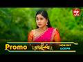 Janaki Parinayam Latest Promo | Episode No 102 | 30th May 2026 | ETV Telugu