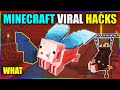 Trying viral minecraft hacks | minecraft in hindi | minecraft tik tok hacks