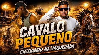 Nayno Original , Matheus Lima - Cavalo Pequeno