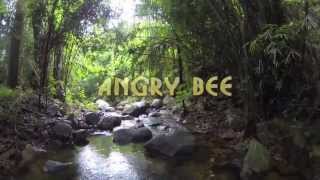 Angry Bee :)