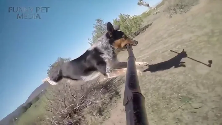 TRY NOT TO LAUGH or GRIN - Funny Kids Fails Compilation 2016 Part 8 by Life Awesome