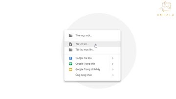 Hướng dẫn up ảnh lên google drive