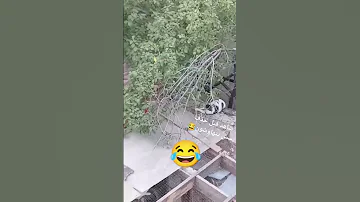 شاهد قبل حذف ساعه ٦ صبح بسس قاعدين بتهاشوو 