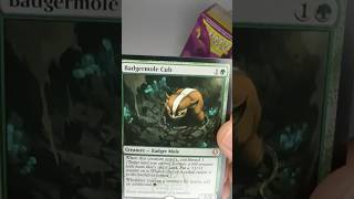 "Turn 1 Llanowar Elves, Turn 2 Badgermole Cub... game over?" 😈🌾#cedh #mtg #mtgcommander #mtgproxy