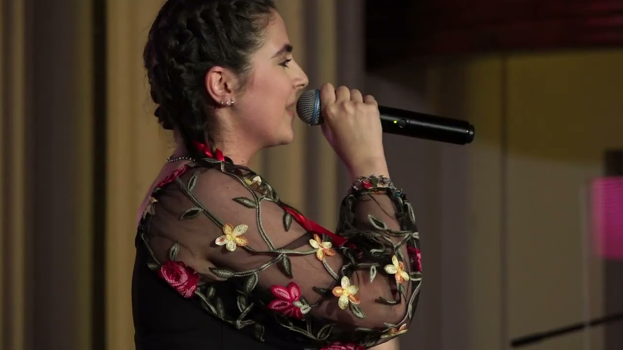 Saraiman și Lie Ciocârlie @festival Armonia @Bigg Dimm'a Band Oficial @Cluj 2025