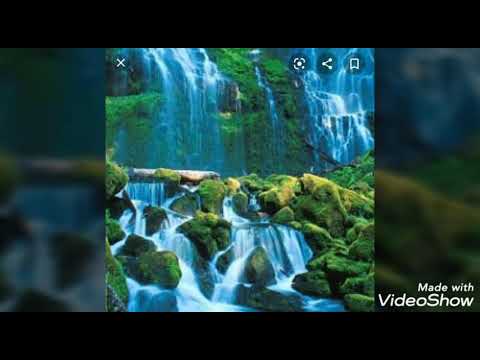 Təbiət səsləri - Nature sound effect