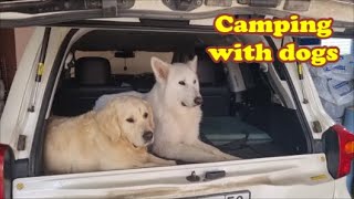 CAMPING with dogs/ Поездка с двумя собаками на природу.