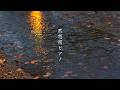 【黙想用BGM】雨の日は、少しゆっくり|心を静かに整えるピアノBGM