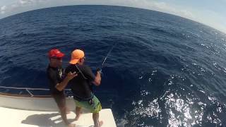 Jigging, sériole Catch 'n release. pêche cote Atlantique Martinique sur le Yes Papa.