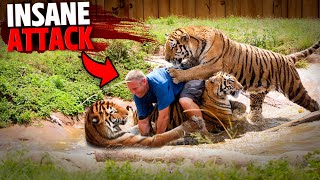 This Man SNEAKS Into Tiger's Den And Gets FATALLY Mauled By 3 Tigers!