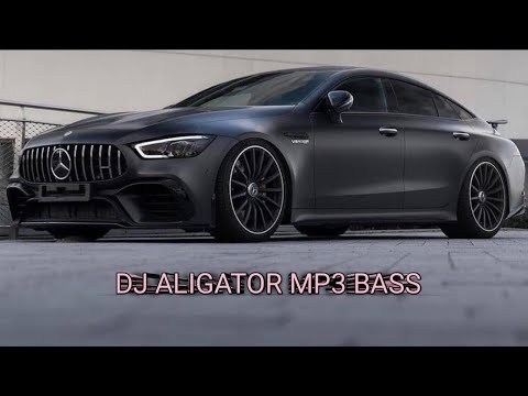 DJ ALIGATOR 2022 MP3 BASS Зарубежные музыки